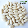 Nut 25/29 Blanched Peanut Kernels